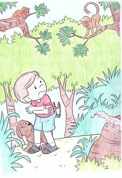 Ilustração do livro o menino que caçava pássaros - ACLEJU - Clube de Autores