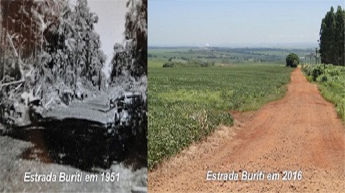 Estrada Buriti em 1951 (Kimura) e Estr. Buriti em 2016 (do autor)
