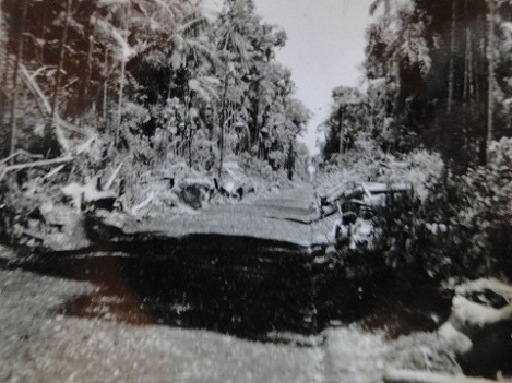 Com Braços Fortes - Relato de Américo Colauto Filho | Foto: Estrada Buriti em 1951