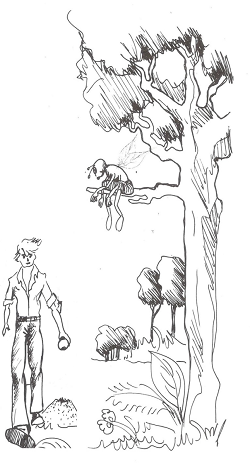 Ilustração do livro As aventuras de antares - Acleju - Clube de Autores
