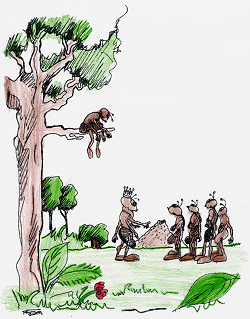 Ilustração do livro infantil el econdite del hormigo - Acleju - Clube de Autores